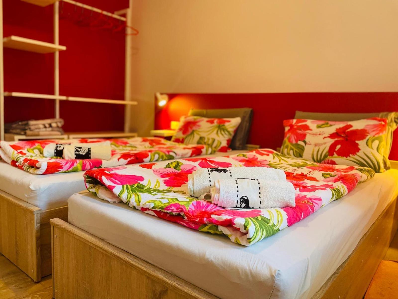 Boutique Apartment With Private Pool For Your Exclusive Use Novigrad Istria エクステリア 写真